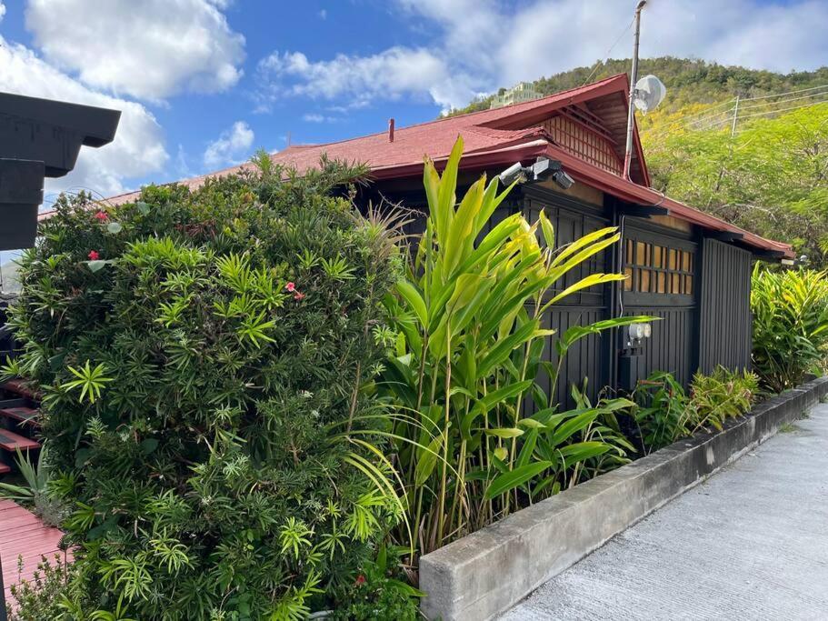 Mid-Century: Caribbean Style Apartment Contant  Exterior foto